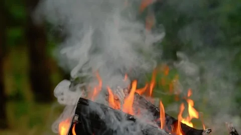 Loop of Glowing Campfire Coals and Embers Video stock 342504512