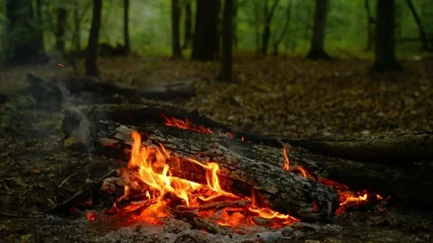 Loop of Glowing Campfire Coals and Embers Stock-Footage 342505099