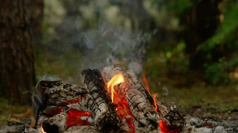 Loop of Glowing Campfire Embers and Flames with Audio. Video stock 342504215