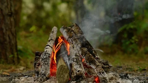 Loop of Glowing Campfire Embers and Flames with Audio Video stock 342504244