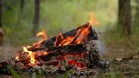 Loop of Glowing Campfire Embers with Real Fire Sound Stock-Footage 342504336