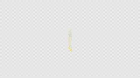 Loop gold text change from 2022 to 2023 Stock Footage 221831254