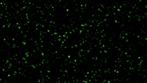 Loop green bokeh particles flow on black abstract background 스톡 동영상 295504336