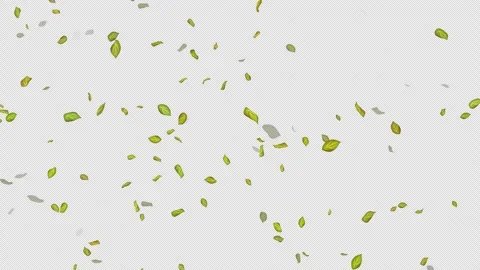  Loop Green falling leaves on alpha channel. Transparent Background. Matte Stock Footage 277639766