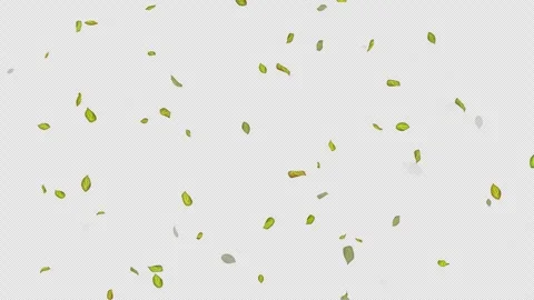  Loop Green falling leaves on alpha channel. Transparent Background. Matte Stock Footage 277644656