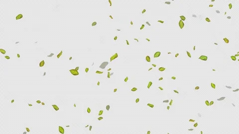  Loop Green falling leaves on alpha channel. Transparent Background. Matte Stock Footage 277649707