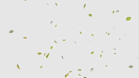  Loop Green falling leaves on alpha channel. Transparent Background. Matte Stock Footage 277649909