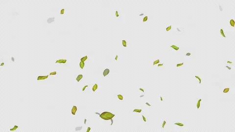  Loop Green falling leaves on alpha channel. Transparent Background. Matte Stock Footage 277650312