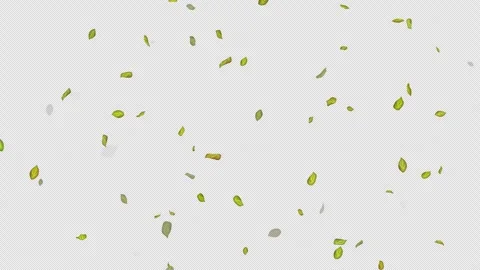  Loop Green falling leaves on alpha channel. Transparent Background. Matte Stock Footage 277654330