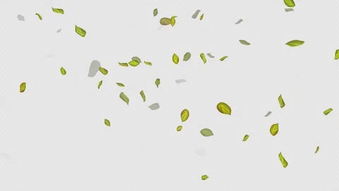  Loop Green falling leaves on alpha channel. Transparent Background. Matte Stock Footage 277669447