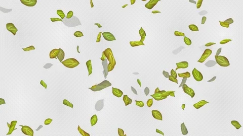  Loop Green falling leaves on alpha channel. Transparent Background. Matte Stock Footage 277672324