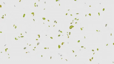  Loop Green falling leaves on alpha channel. Transparent Background. Matte Stock Footage 277672451