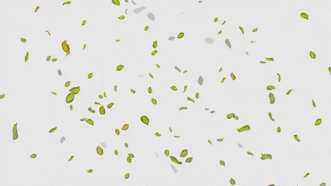  Loop Green falling leaves on alpha channel. Transparent Background. Matte Stock Footage 277672579