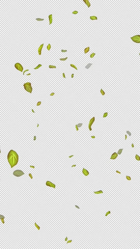  Loop Green falling leaves on alpha channel. Transparent Background. Matte Stock Footage 277686503