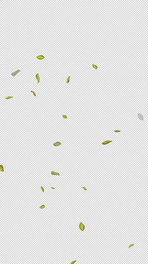  Loop Green falling leaves on alpha channel. Transparent Background. Matte Stock Footage 277686547