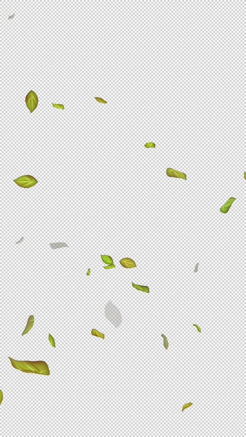  Loop Green falling leaves on alpha channel. Transparent Background. Matte Stock Footage 277686607