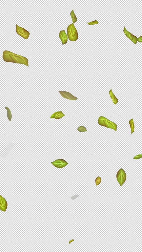  Loop Green falling leaves on alpha channel. Transparent Background. Matte Stock Footage 277686685