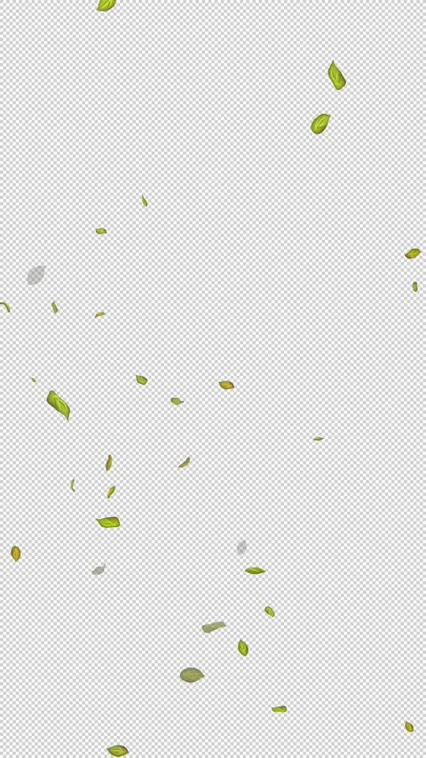  Loop Green falling leaves on alpha channel. Transparent Background. Matte Stock Footage 277686714