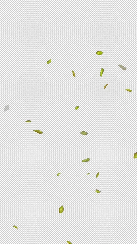  Loop Green falling leaves on alpha channel. Transparent Background. Matte Stock Footage 277687627