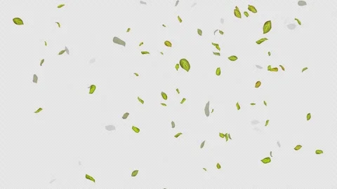  Loop Green falling leaves on alpha channel. Transparent Background. Matte Stock Footage 277763883