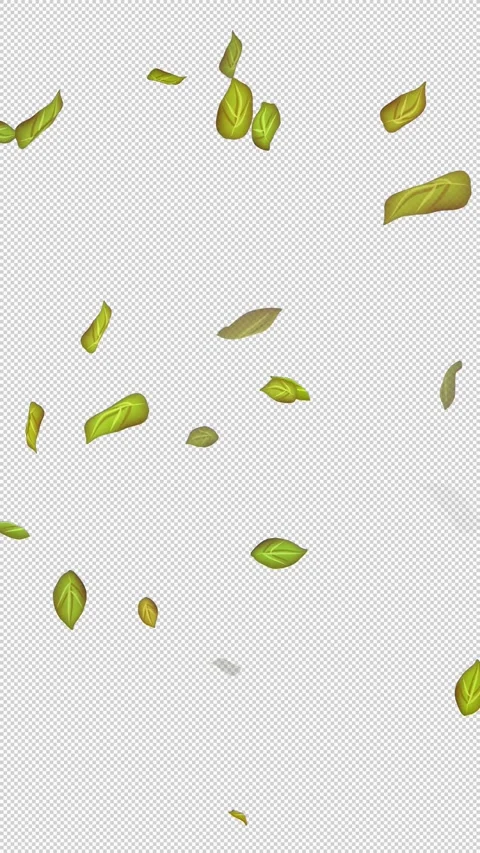  Loop Green falling leaves on alpha channel. Transparent Background. Matte Stock Footage 277764206