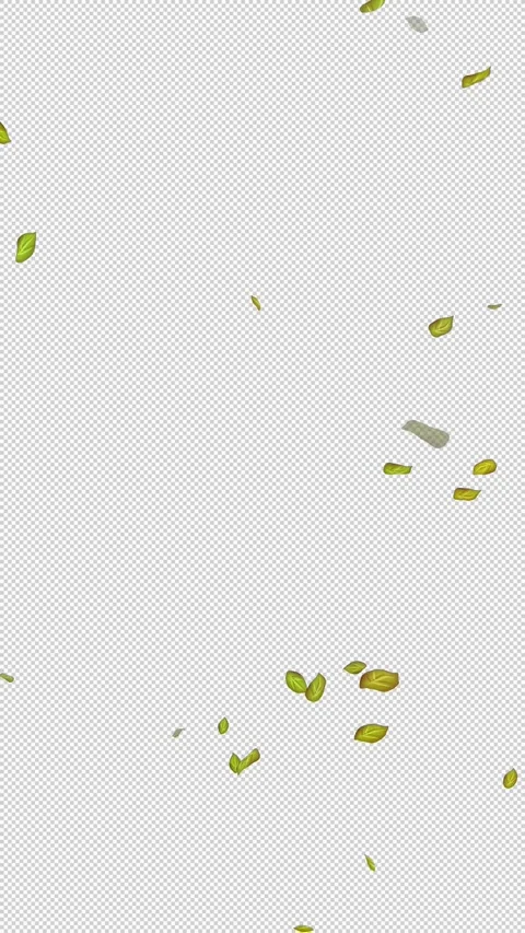  Loop Green falling leaves on alpha channel. Transparent Background. Matte Stock Footage 277764490