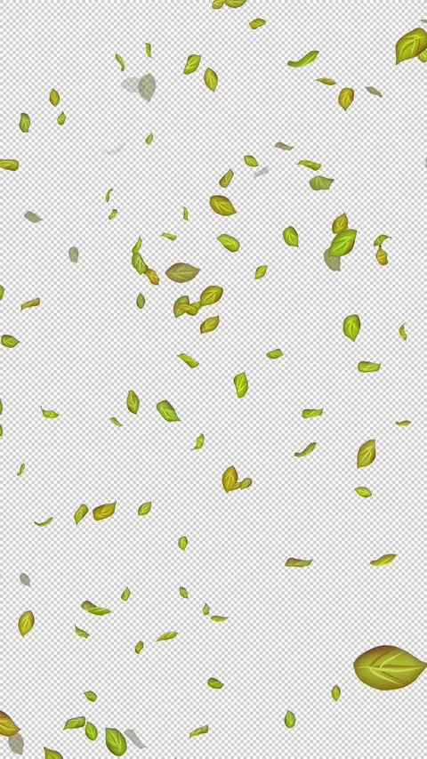  Loop Green falling leaves on alpha channel. Transparent Background. Matte Stock Footage 277771286