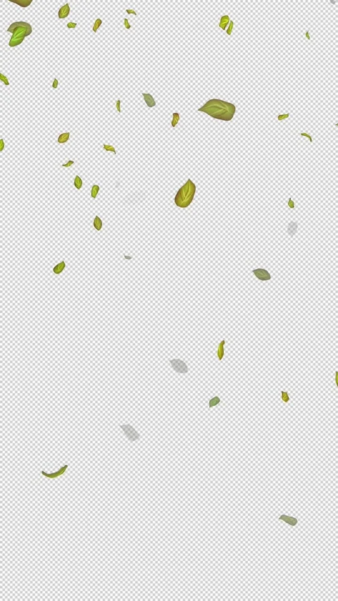  Loop Green falling leaves on alpha channel. Transparent Background. Matte Stock Footage 277771963