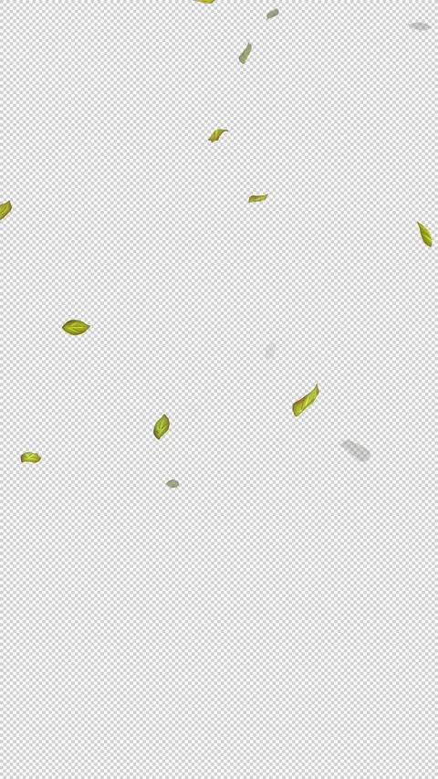  Loop Green falling leaves on alpha channel. Transparent Background. Matte Stock Footage 277772060