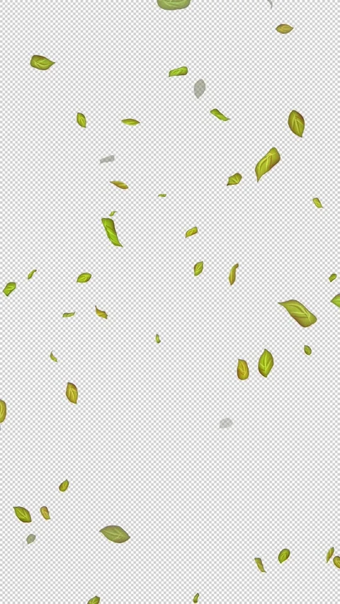  Loop Green falling leaves on alpha channel. Transparent Background. Matte Stock Footage 277772094