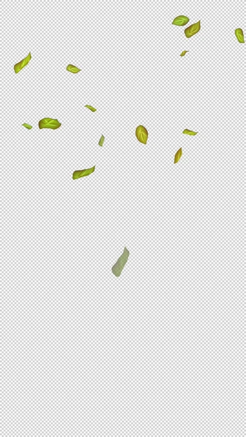 Loop Green falling leaves on alpha channel. Transparent Background. Matte Stock Footage 277772139