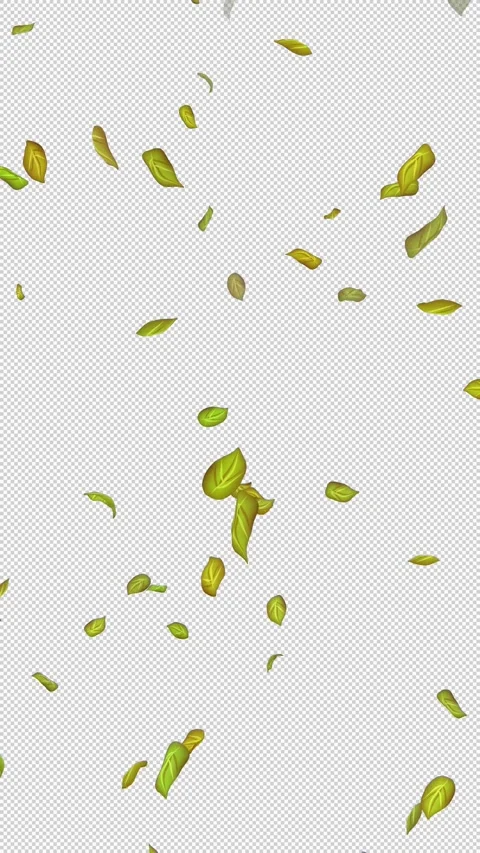  Loop Green falling leaves on alpha channel. Transparent Background. Matte Stock Footage 277772224
