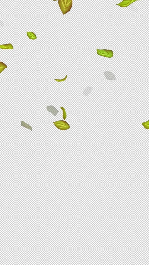  Loop Green falling leaves on alpha channel. Transparent Background. Matte Stock Footage 277772300