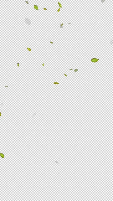  Loop Green falling leaves on alpha channel. Transparent Background. Matte Stock Footage 277772443