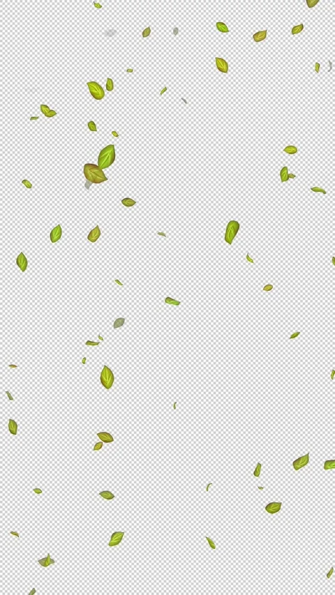  Loop Green falling leaves on alpha channel. Transparent Background. Matte Stock Footage 277772462