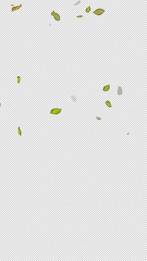  Loop Green falling leaves on alpha channel. Transparent Background. Matte Stock Footage 277772495
