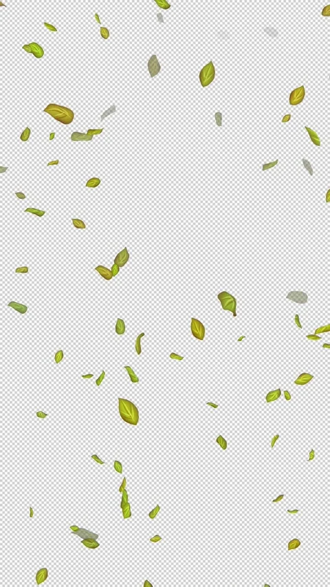  Loop Green falling leaves on alpha channel. Transparent Background. Matte Stock Footage 277772550