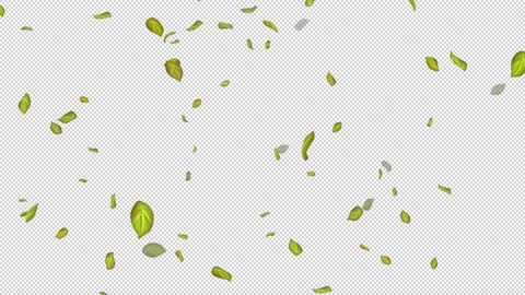  Loop Green falling leaves on alpha channel. Transparent Background. Matte Stock Footage 277773051