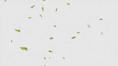  Loop Green falling leaves on alpha channel. Transparent Background. Matte Stock Footage 277773123