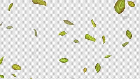  Loop Green falling leaves on alpha channel. Transparent Background. Matte Stock Footage 277773214