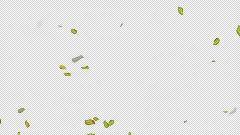  Loop Green falling leaves on alpha channel. Transparent Background. Matte Stock Footage 277773281