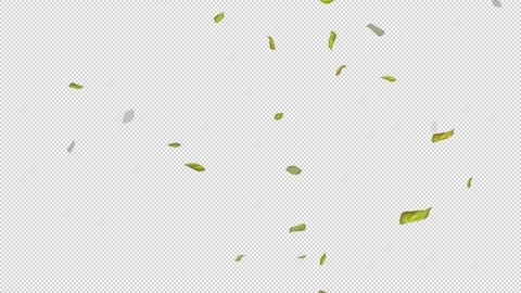  Loop Green falling leaves on alpha channel. Transparent Background. Matte Stock Footage 277773951