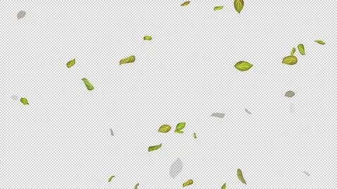  Loop Green falling leaves on alpha channel. Transparent Background. Matte Stock Footage 277773999