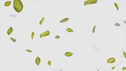 Loop Green falling leaves on alpha channel. Transparent Background. Matte Stock Footage 277774063