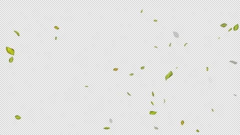  Loop Green falling leaves on alpha channel. Transparent Background. Matte Stock Footage 277774089