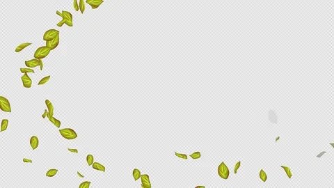  Loop Green falling leaves on alpha channel. Transparent Background. Matte Stock Footage 277794774