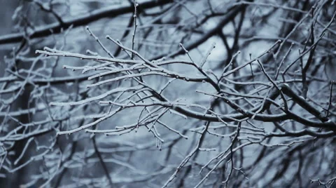 Loop. Heavy snowing, big snowflakes. Winter. Stock Footage 1033097