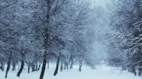 Loop. Heavy snowing, big snowflakes. Winter. Stock Footage 1038711