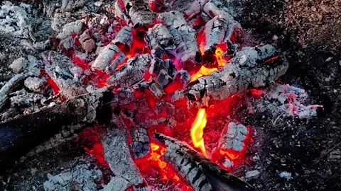 Loop of Hot Campfire Coals and Wood Video stock 342504742