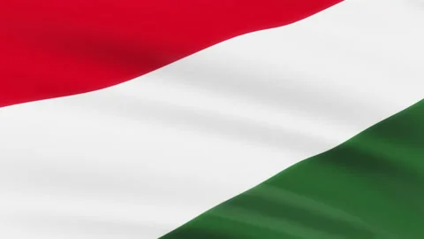 Loop of Hungry flag waving in wind Stock Footage 196964400